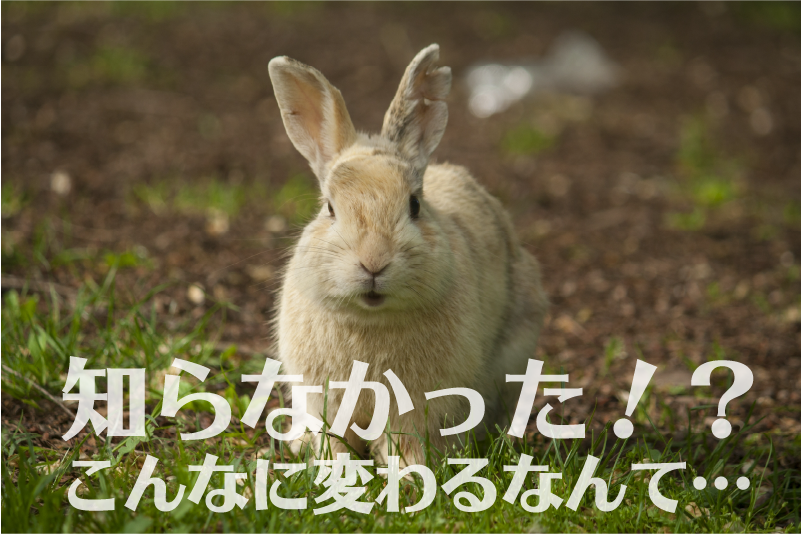 エルセーヌ フェイススリム体験